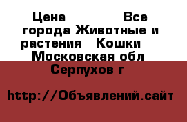 Zolton › Цена ­ 30 000 - Все города Животные и растения » Кошки   . Московская обл.,Серпухов г.